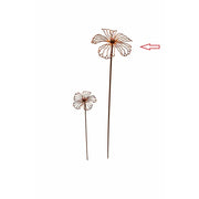 Hibiscus Ecorouille (6) — MD70145