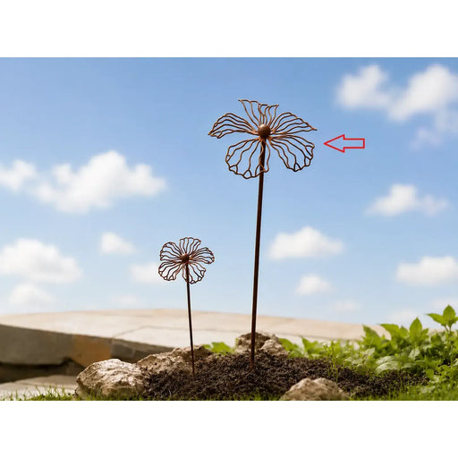 Hibiscus Ecorouille (6) — MD70145
