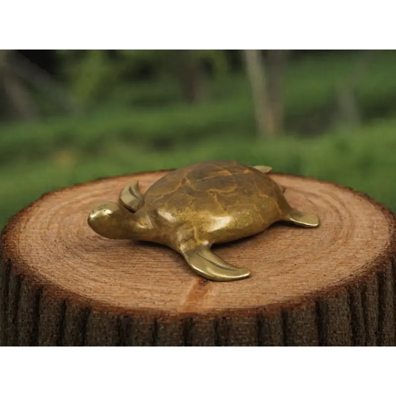 Tortue — OC0490BR-HP