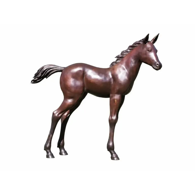 Poulain — PB61081
