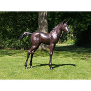 Poulain — PB61081