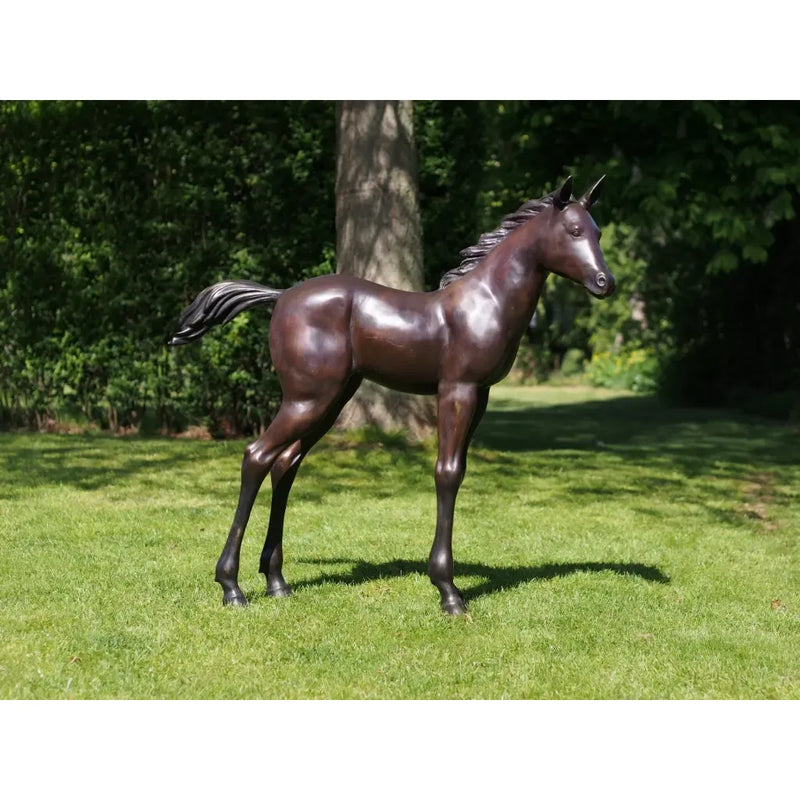 Poulain — PB61081