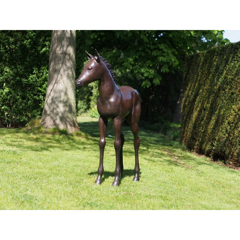 Poulain — PB61081