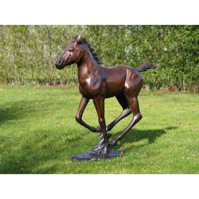Poulin Courant — PB61165