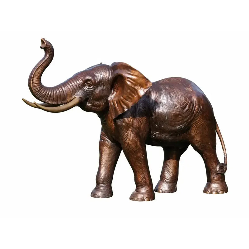 Bébé Elephant — PB61172