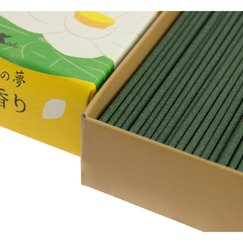 Encens Yume no Yume Fleur de Lotus - Grande Boîte