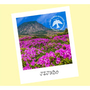 Encens Fragrance Memories Jejudo Field