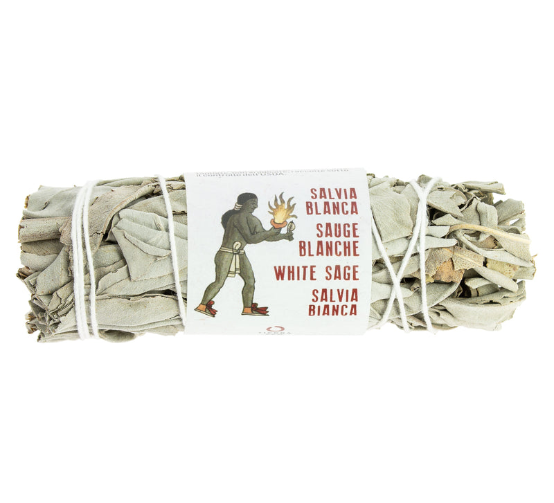 Sauge Blanche de Californie (8-10 cm)