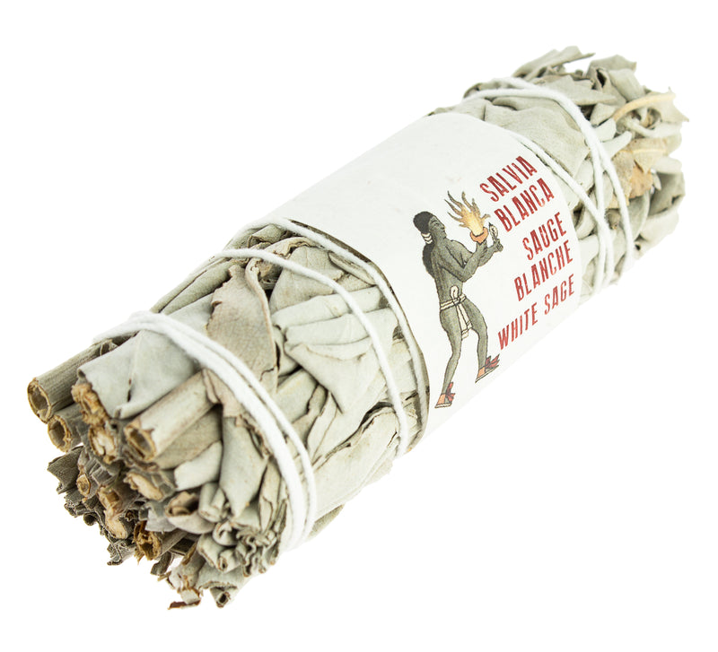 Sauge Blanche de Californie (8-10 cm)