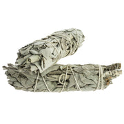Sauge Blanche de Californie (8-10 cm)