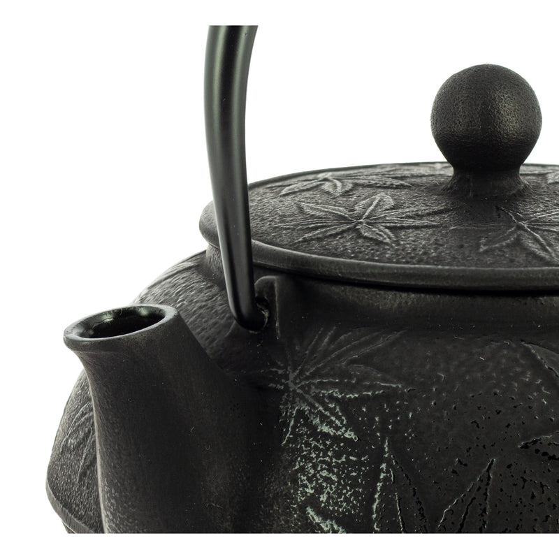 Théière Iwachu Kaede Noire - 650 ml — photo complémentaire 4