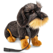 Uni Toys Teckel à poil dur, assis (avec laisse) - doudouille/peluche K20175R