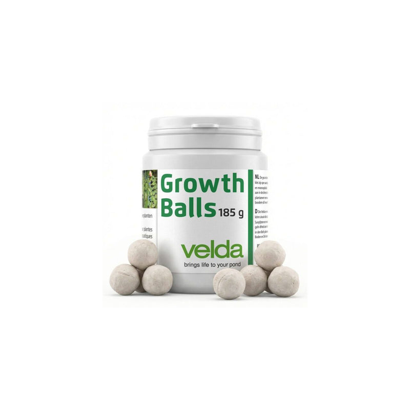 Présentoir Growth Balls 20 pièces - Velda