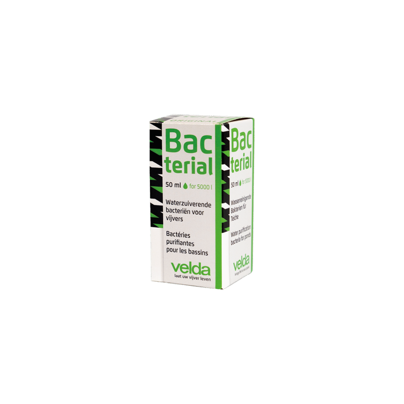 Présentoir Bacterial 50 ml 36 pièces - Velda
