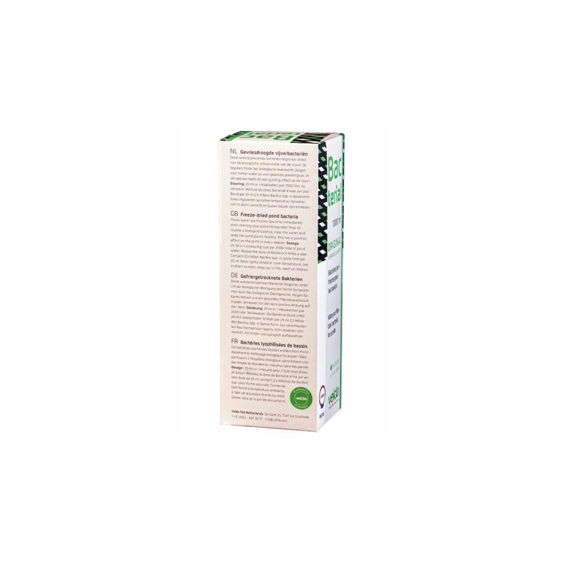 Bacterial — Velda
