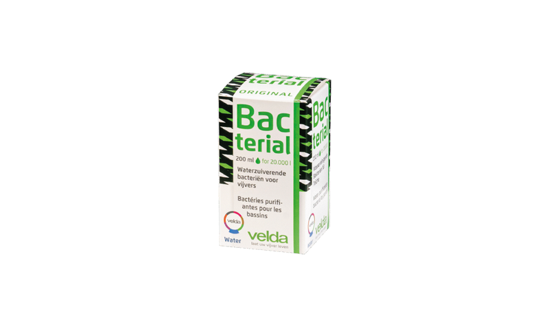 Bacterial 200 ml - Velda