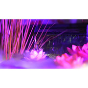 Bassin décoratif Fountain Pond Waterfall carré 75x35 cm - Velda