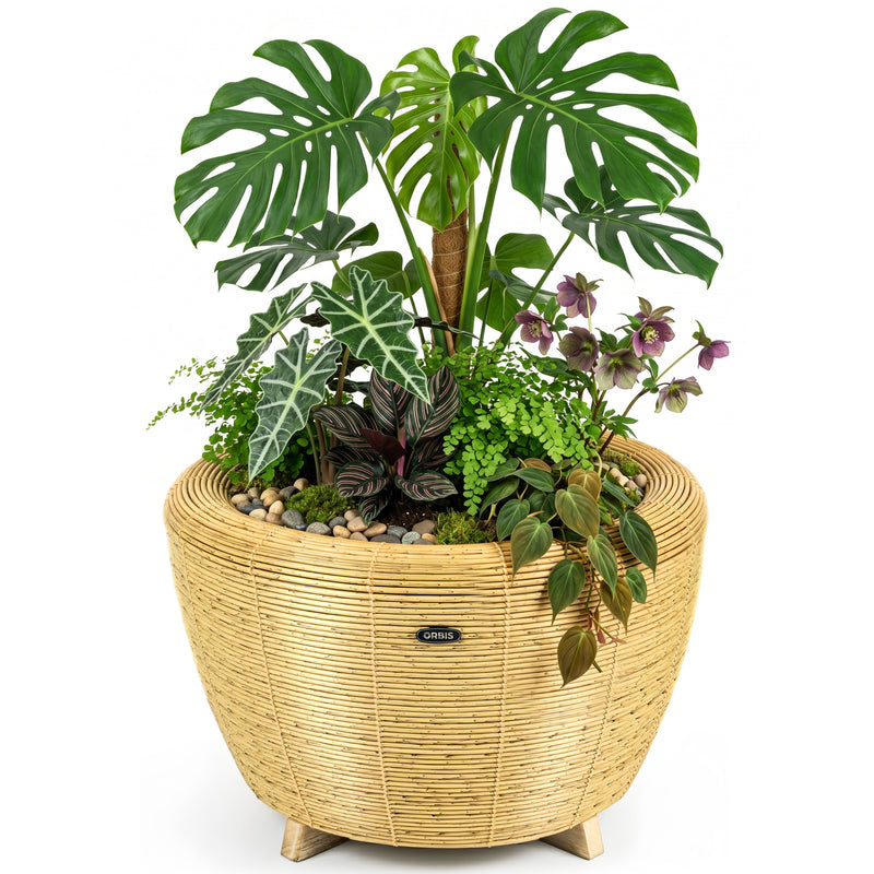 Jardinière Orbis Planter naturel - Velda