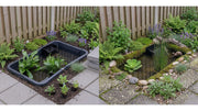 Orbis Bio-Pond — Velda