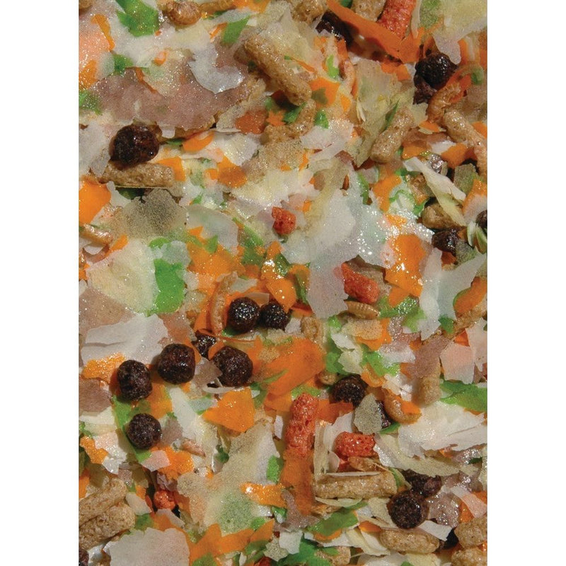 Gold Flakes Fish Food — Velda