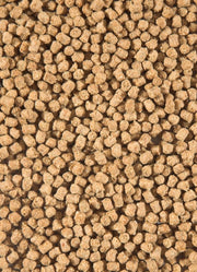 Winter Fish Food — Velda