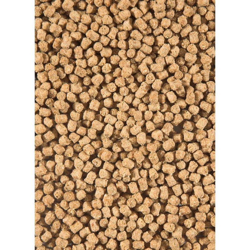 Winter Fish Food — Velda