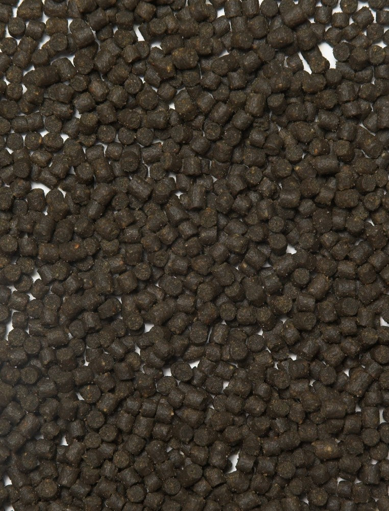 Sturgeon Fish Food — Velda