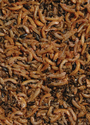 Nature Fish Food — Velda