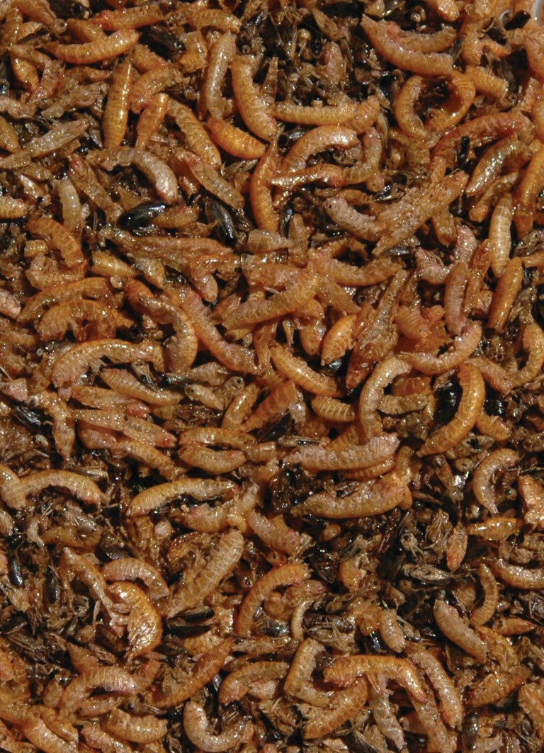 Nature Fish Food — Velda