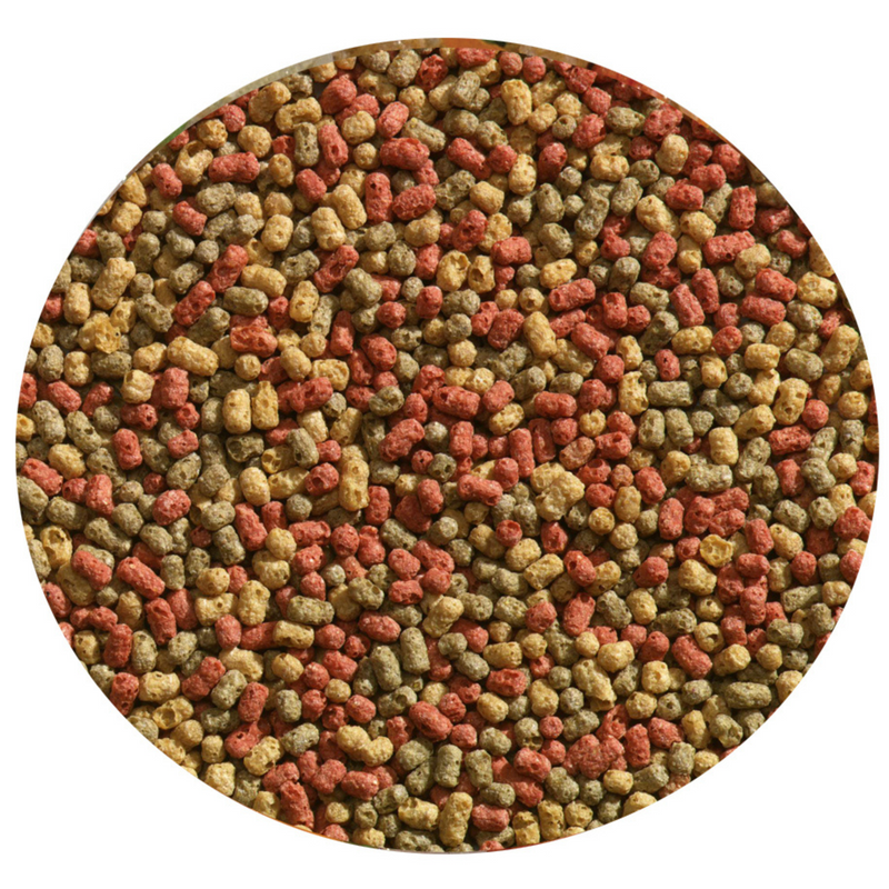 Nourriture pour poissons Vivelda 3-Colour Pellet 300 ml