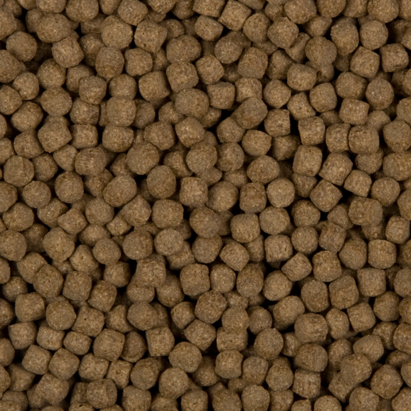 Staple Prime 6 mm — SaniKoi