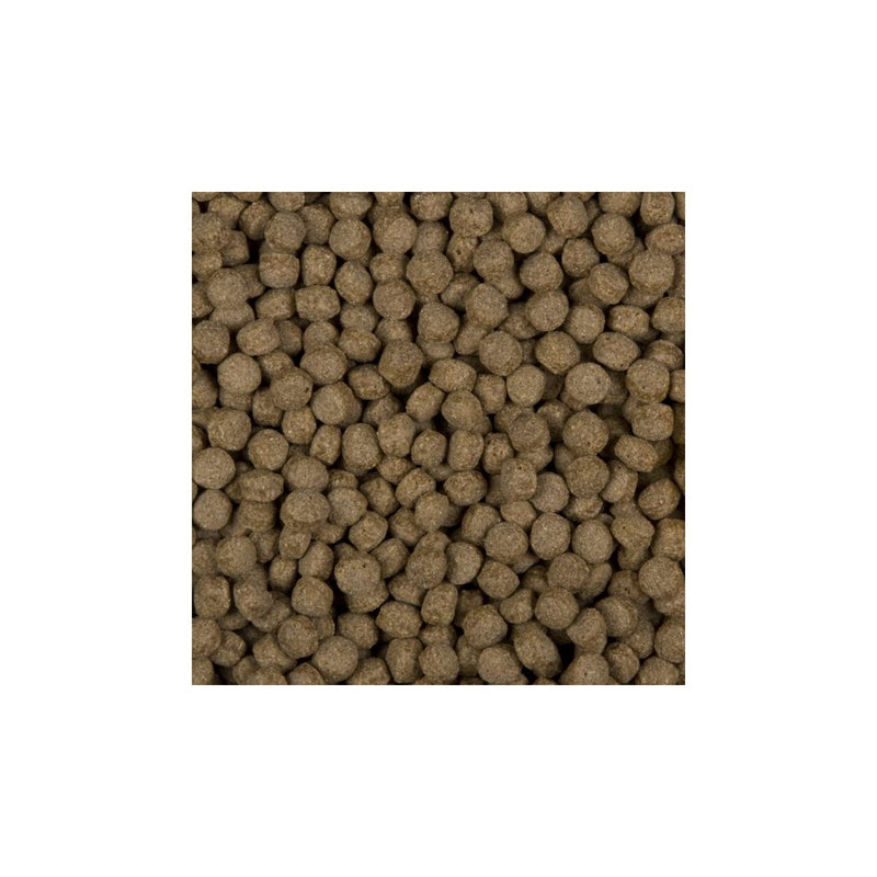 Nourriture pour poissons All Season Wheat germs 6 mm 3 l - SaniKoi