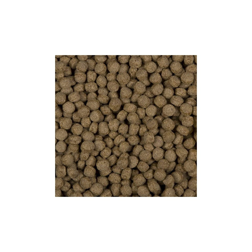Nourriture pour poissons All Season Wheat germs 6 mm 3 l - SaniKoi