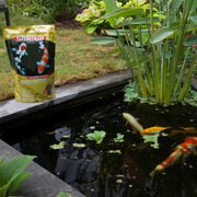 Nourriture pour poissons Gold Protein Plus 6 mm 3 l - SaniKoi