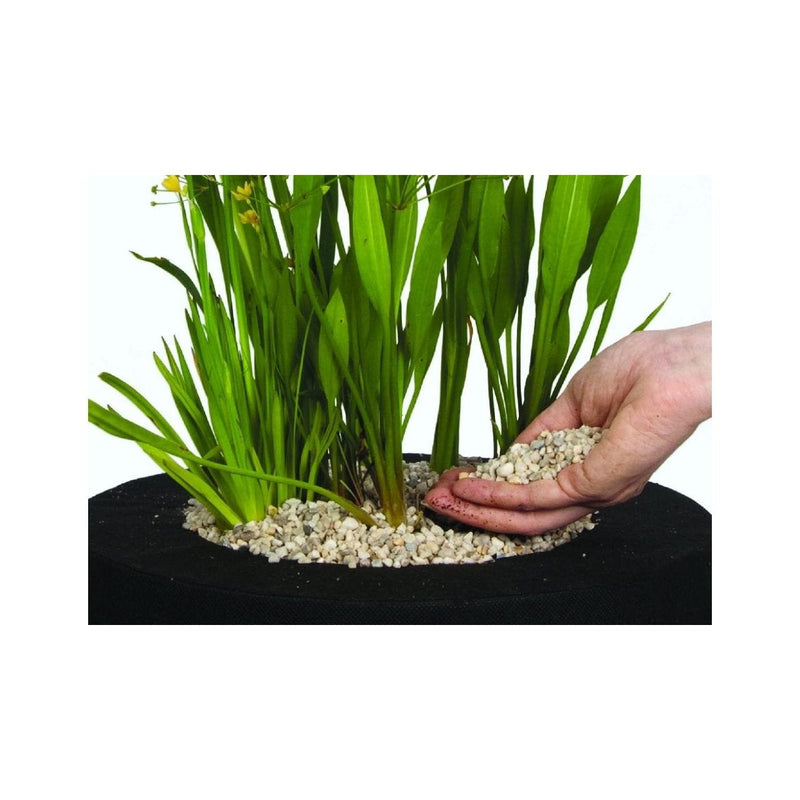 Velda Terreaux et substrats aquatiques Aqua Gravel blanc 8-12 mm 2,5 kg - Velda 8711921004115 123208