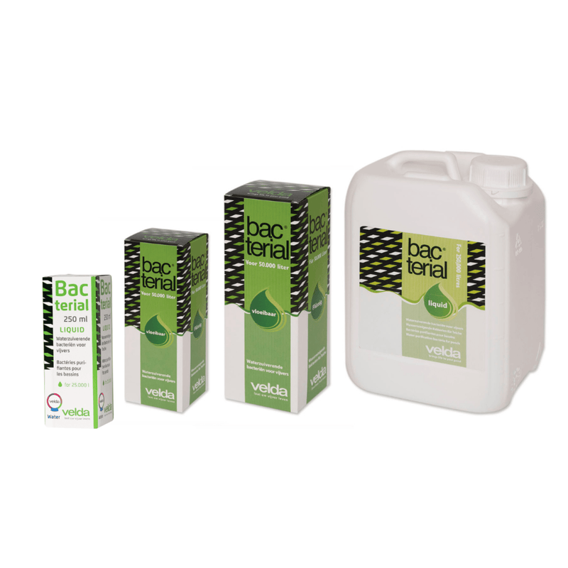 Velda Bactéries pour bassin Bacterial Liquid 250 ml - Velda 8711921260184 122637