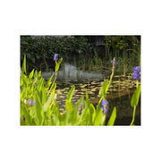 Velda Décoration de bassin Brumisateur flottant Floating Mistmaker - Velda 8711921253759 123691