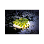 Velda Décoration de bassin Éclairage flottant pour bassin Floating Pond Light - Velda 8711921260177 123507