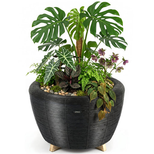 Velda Mini-bassins et accessoires Jardinière Orbis Planter anthracite - Velda 8711921004160 123689