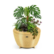 Velda Mini-bassins et accessoires Jardinière Orbis Planter naturel - Velda 8711921004153 123688