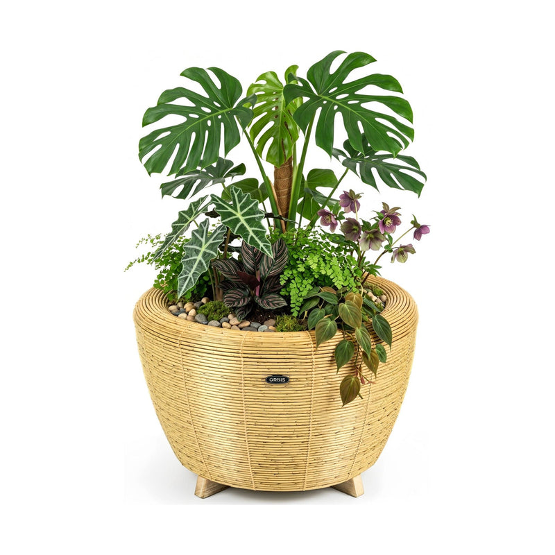 Velda Mini-bassins et accessoires Jardinière Orbis Planter naturel - Velda 8711921004153 123688