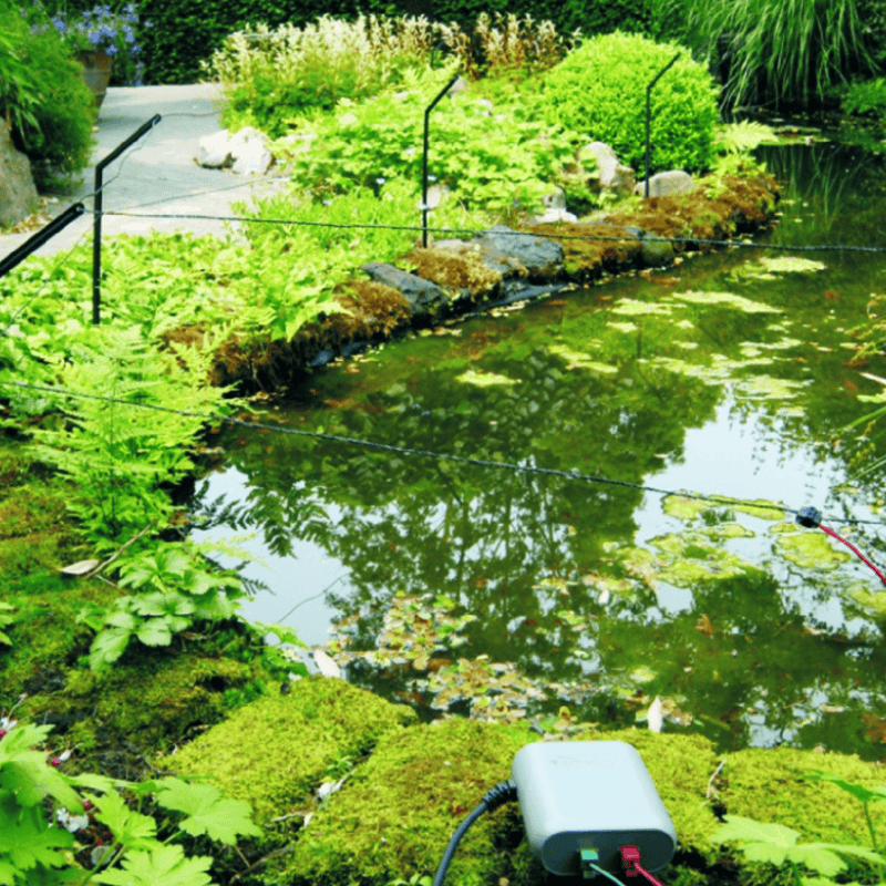 Velda Protection de bassin Kit d’extension pour Pond Protector - Velda 8711921065239 128025