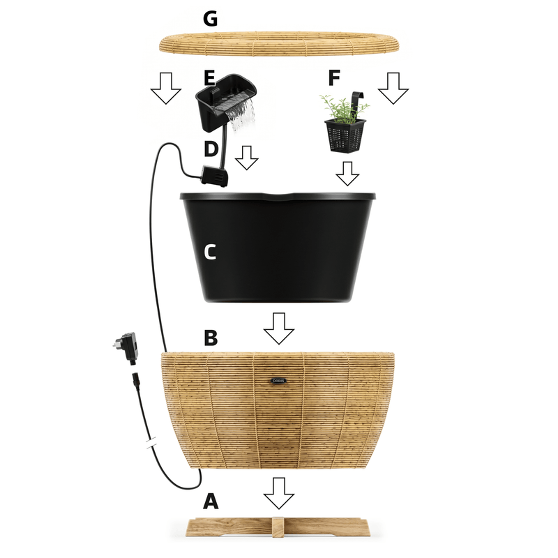 Velda Mini-bassins et accessoires Mini-bassin Orbis Mini-Pond naturel - Velda 8711921003194 123683
