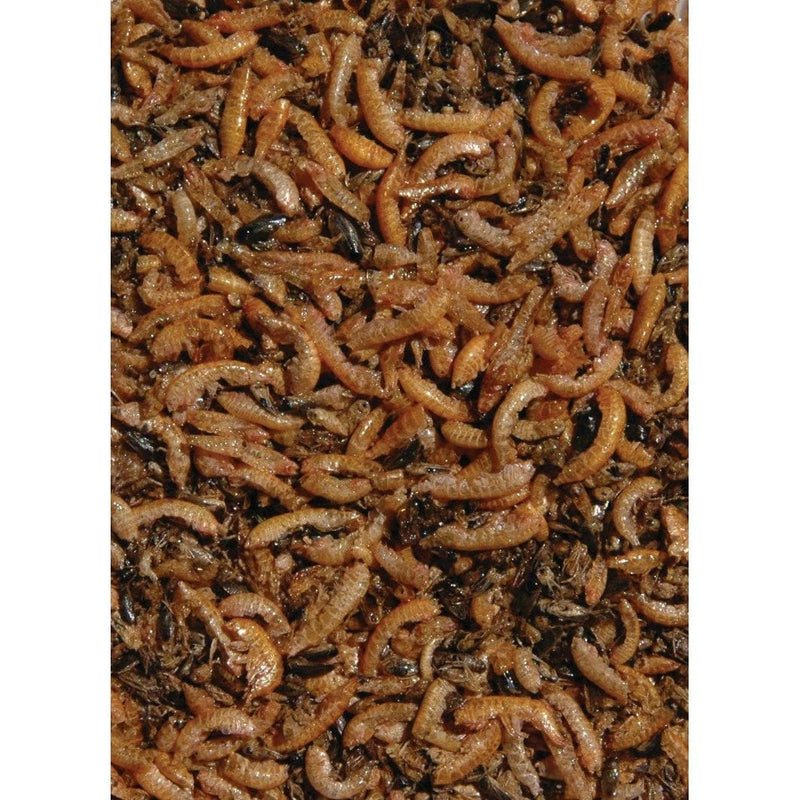 Velda Alimentation pour poissons Nourriture pour poissons Nature Fish Food 1000 ml - Velda 8711921001473 124215