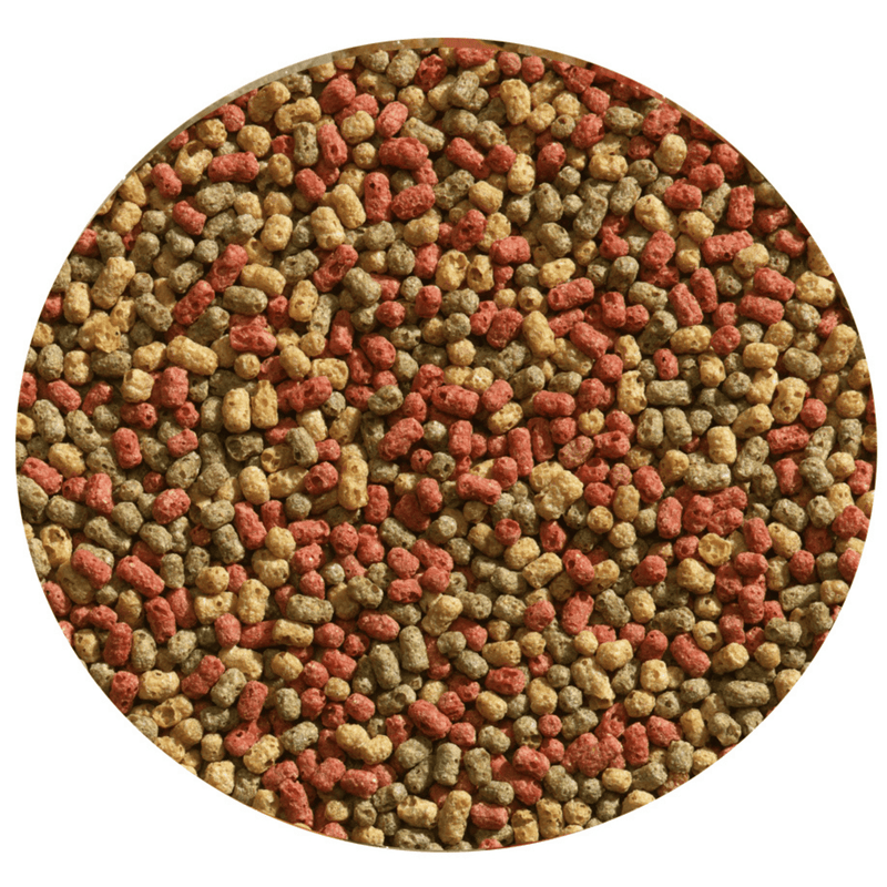 Velda Alimentation pour poissons Nourriture pour poissons Vivelda 3-Colour Pellet 300 ml 8711921249417 124479