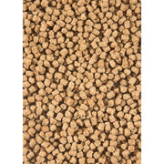 Velda Alimentation pour poissons Nourriture pour poissons Winter Fish Food 3000 ml - Velda 8711921001442 124212