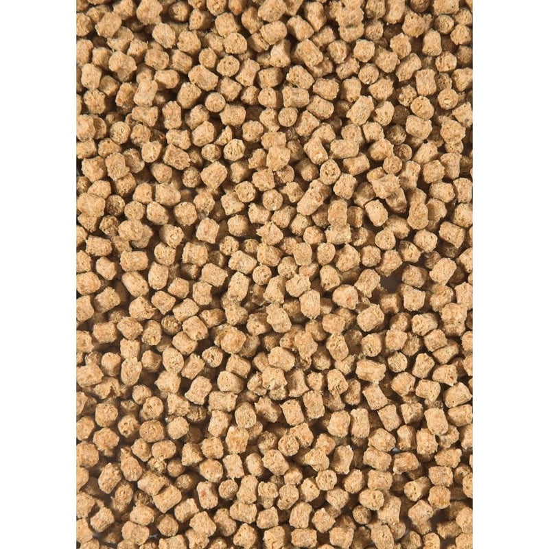Velda Alimentation pour poissons Nourriture pour poissons Winter Fish Food 3000 ml - Velda 8711921001442 124212
