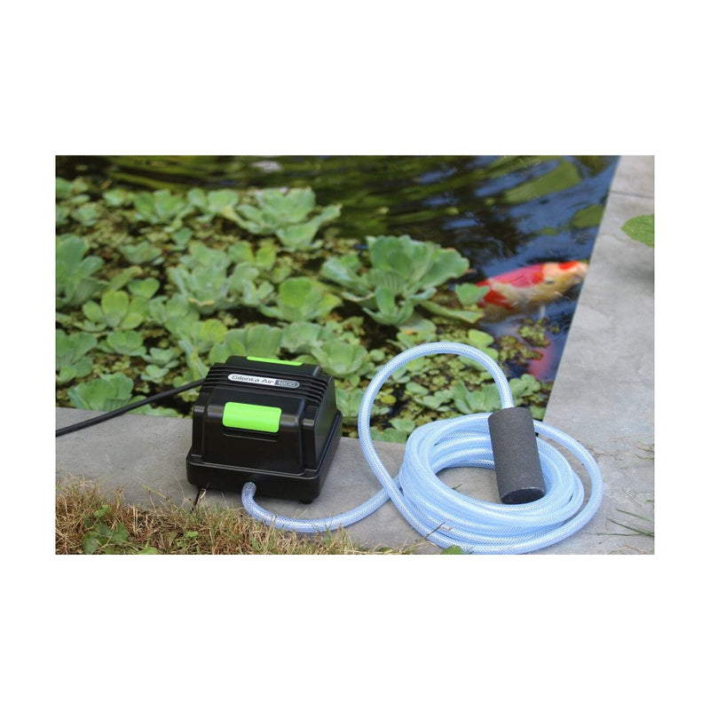 Velda Aération de bassin Pompe à air Silenta Outdoor Pro 1800 - Velda 8711921072947 125085