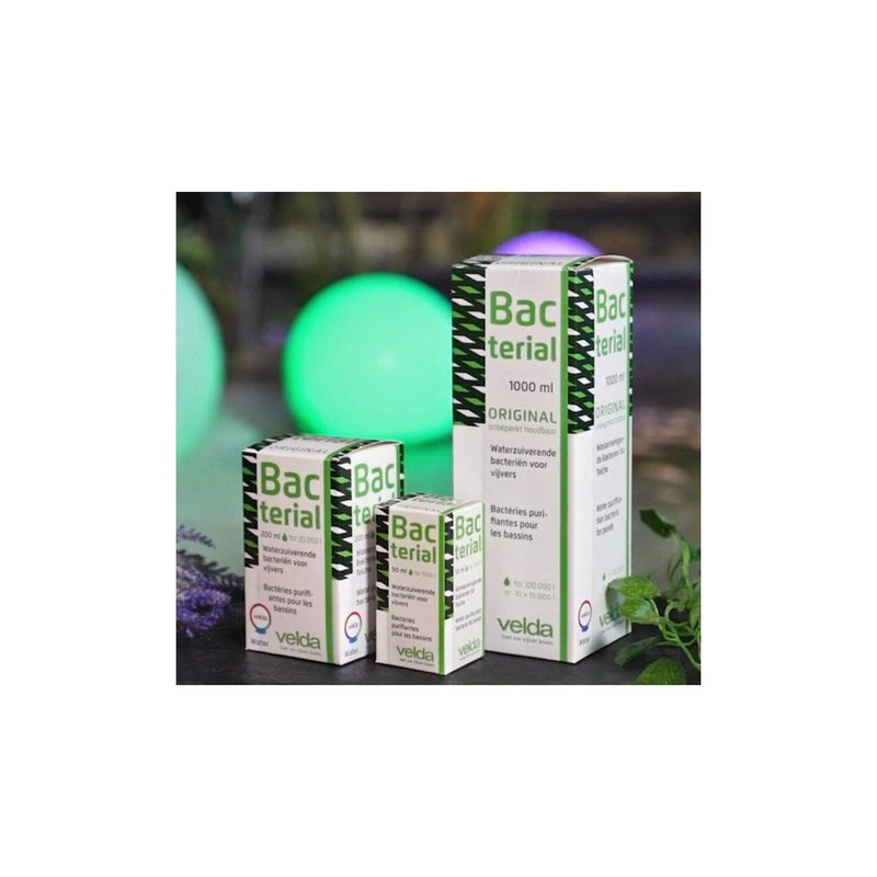 Velda Bactéries pour bassin Présentoir Bacterial 50 ml 36 pièces - Velda 8711921200432 122631