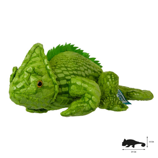 Wild Planet Tout savoir sur Nature Chameleon K8192